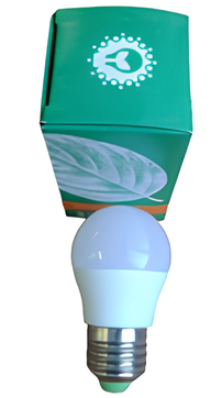 Лампа светодиодная ЭКО E27 шар 6Вт, Холодный свет Светозар